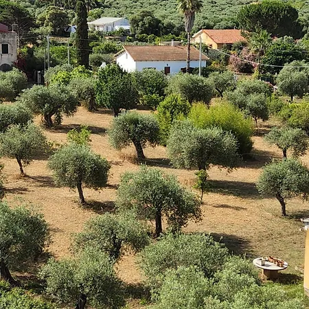 Stella Di Mare Bed & Breakfast *