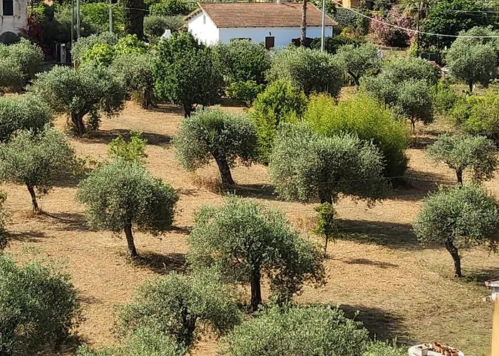 Stella Di Mare Panzió 3*